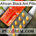 African Black Ant Pills new01